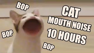 Cat Mouth Noise 10 Hours [upl. by Bearce]