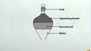 Diagram showing Separation of Immiscible Liquids  DM  Class 9 [upl. by Andri172]