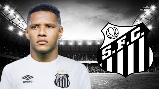 Yairo Moreno 2023  Bem Vindo ao Santos  Skills amp goals  HD [upl. by Karlise404]