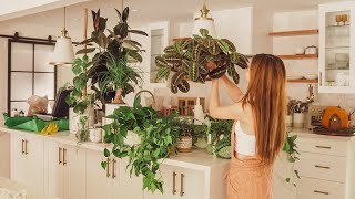 My Peaceful Houseplant Tour 30 Plants  Top 11 Container Gardening Tips [upl. by Aihtnic]