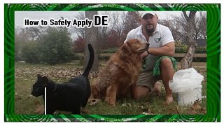 How to SAFELY apply Diatomaceous Earth to your Pets [upl. by Edualc]