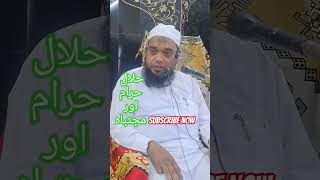 Halal haram aor mujtabah I islamicvideo viralshorts muftitariqmasoodsahabnewbayan [upl. by Fredkin]