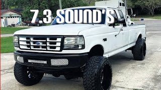 73 Powerstroke Sounds Flybys compilation [upl. by Napoleon180]