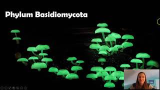 Phylum Basidiomycota [upl. by Mccandless812]