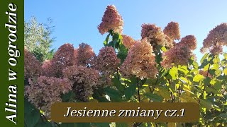 Jesienne zmiany na rabatach  cz 1 [upl. by Curcio]