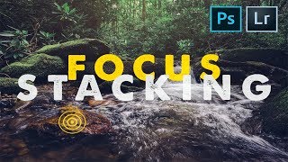 The FASTEST WAY to FOCUS STACK [upl. by Carleton]