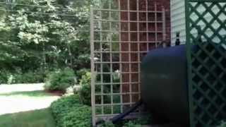 Mocha 8 ft vinyl trellis installed [upl. by Armond915]