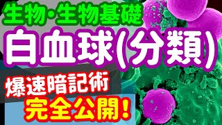 【生物基礎 14】免疫【白血球の分類】を宇宙一わかりやすく [upl. by Okimuy241]