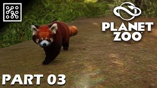 Panda červená  Planet ZOO CZ  Part 03  Lets play  Česky [upl. by Yenwat]