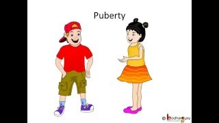 Biology  What happens during adolescence and puberty  English [upl. by Aleacin]