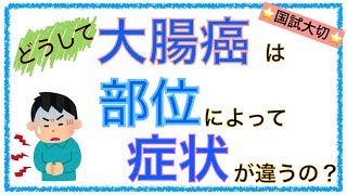 教科書をわかりやすく！「どうして大腸癌は部位によって症状が違うの？」 [upl. by Adev]