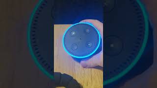 How To Reset Echo Dot [upl. by Rogozen]