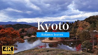 Kyotos BEST Kept Secret Shugakuin Imperial Villa Tour [upl. by Muir940]