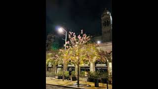 Marseille Night view vers Joliette🫶 travel nightlife asmr virlshort [upl. by Enehs987]