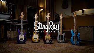 Ernie Ball Music Man 2022 Short Scale StingRay Bass Collection [upl. by Asselem495]