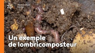 La minute permaculture 15  Un exemple de lombricompost [upl. by Lonnard]