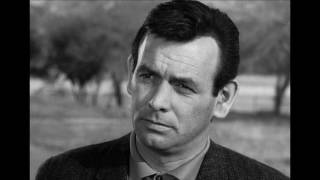 DAVID JANSSEN TRIBUTE [upl. by Ellebyam]