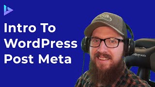 WordPress Post Meta in 10 Minutes  WordPress Metadata and Database Tutorial [upl. by Narruc]