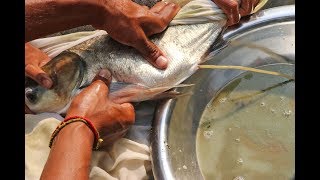 Fish Breeding System  Big Head Fish Eggs Hatchery [upl. by Annamarie]