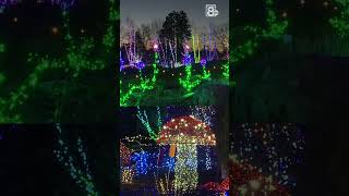 Gardens Aglow for Christmas [upl. by Toogood263]