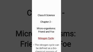 What is Nitrogen Cycle Class 8 Science [upl. by Elocim]