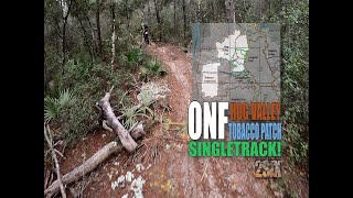 Ocala National Forest Hog Valley and Tobacco Patch Trails SINGLETRACK [upl. by Belldas]