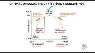 Optimal Arousal Theory by Yerkes and Dorson 1908 [upl. by Halden]