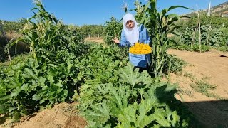 DİNLERSEN ANLARSIN‼️ BALKABAK ÇİÇEĞİ ACI OLUR AŞ KABAK HARİKA UYUMADAN TOPLA  KABAK ÇİÇEĞİ DOLMASI [upl. by Samanthia]