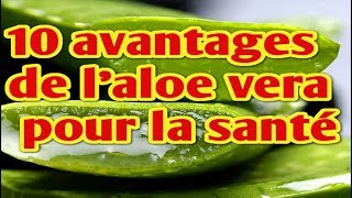 10 avantages de l’aloe vera pour la santé [upl. by Otinauj]