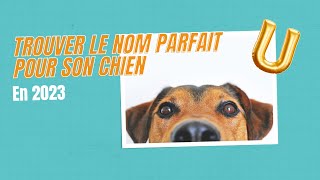 Nom de chien en U pour 2023 [upl. by Alecia]