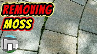 How to remove moss between patio stones [upl. by Chinua]