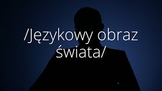 Językowy obraz świata  ABC Humanistyki 46  prof Bogusław Skowronek [upl. by Annaej819]