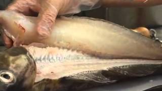 How to Fillet Cod [upl. by Styles]