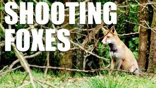 Fieldsports Britain  Shooting foxes [upl. by Eindys]