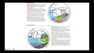 Biogeochemical Cycles [upl. by Letnoj]