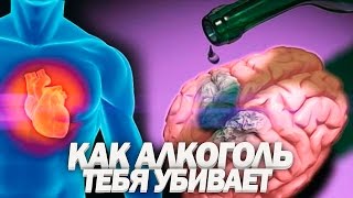 ВЛИЯНИЕ АЛКОГОЛЯ НА ОРГАНИЗМ  Почему 90 Людей Уже Алкоголики [upl. by Val]