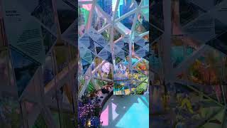 flower show victoriapark flowers youtubeshorts [upl. by Grania]