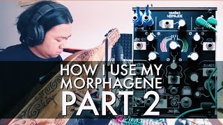 How I use My Morphagene with an Acoustic Instrument  Sape Part 2 [upl. by Emirak]