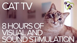 TV for Cats 8 Hours of Visual and Sound Stimulation [upl. by Donatelli]