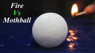 Experiment With Naphthalene Balls  Easy Science Experiment [upl. by Ellenid]