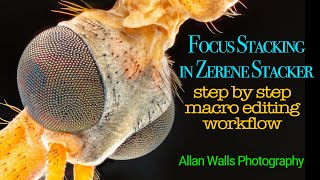 Focus Stacking with Zerene Stacker  step by step macro editing workflow [upl. by Eciralc158]