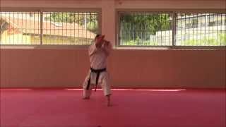 Bassaï Daï  SF Karaté Training [upl. by Jerad]