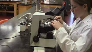 Part 5 How to Use Stereo and Compound Microscopes [upl. by Astrix]