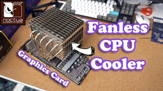 I Do Naughty Things With Noctuas New Passive CPU Cooler [upl. by Naeroled348]