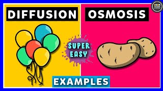 Diffusion and Osmosis [upl. by Ebeneser]