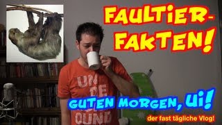 Fakten über Faultiere  vlog [upl. by Annert]