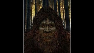 Sasquatch In Manchester UK [upl. by Cybill]