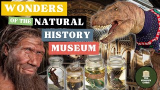 The Wonders of Londons Natural History Museum  An InDepth Guided Tour [upl. by Delos]