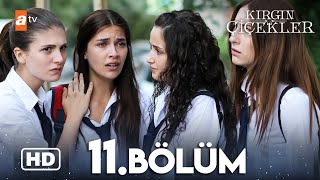 Kırgın Çiçekler 11 Bölüm  HD [upl. by Jahdal468]