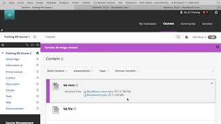 How to Upload Content in Blackboard [upl. by Bick637]